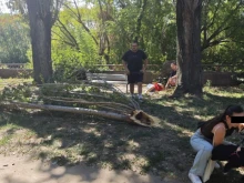 Убитият в Пловдив от паднал клон на топола пенсионер е стоял на пейка