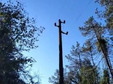 Премахват опасни дървена в района на главен електропровод в Русенско