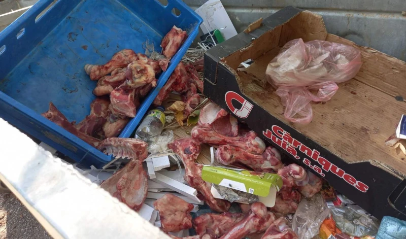Откриха голямо количество месо, захвърлено на отдалечено място в София, инспектори със съвети към хората
