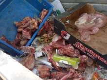 Откриха голямо количество месо, захвърлено на отдалечено място в София, инспектори със съвети към хората