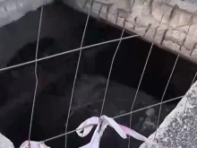 Притеснени столичани сигнализираха за огромна яма, която може да погълне половин автомобил 