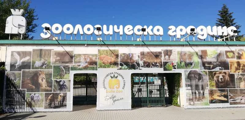 Зоопаркът и хижа "Алеко" на Витоша са следващите културни точки на кампанията "Зелени библиотеки 2025"
