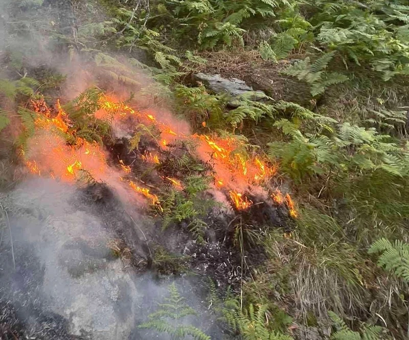 Пожарът в Рила се разраства