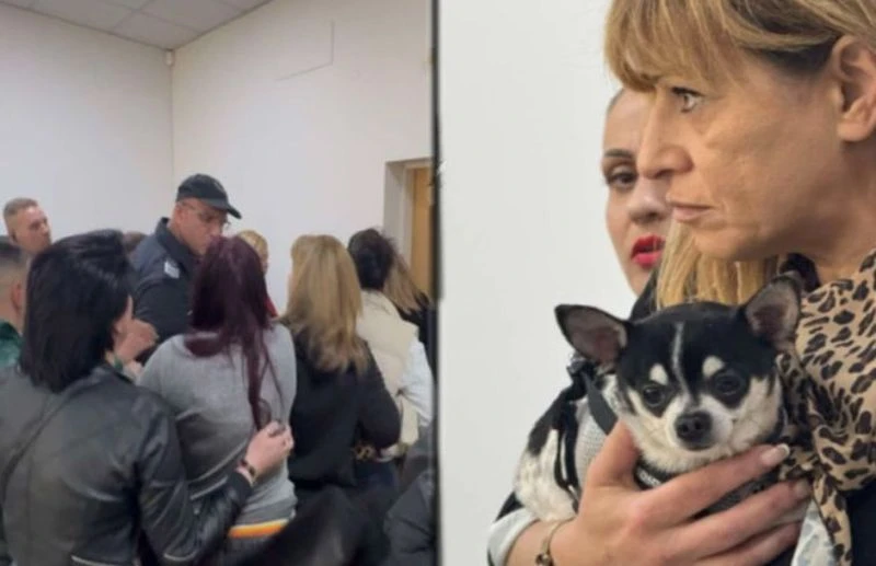 Ключово заседание решава съдбата за кучето Мауси, което предизвика бой в съда