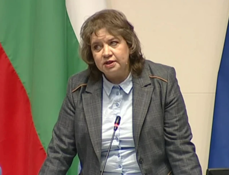 Наталия Киселова с инетересна прогноза за гласуването на първия за България бюджет в евро