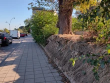 Русенци са притеснени от опасни дървета с отрязани корени