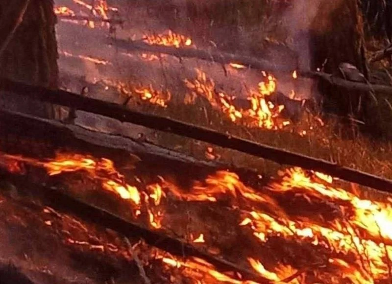 Военни продължават борбата с големия пожар над Горно Осеново в Рила