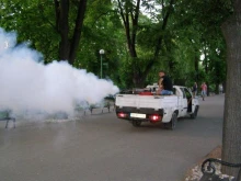 Цял месец пръскат срещу кърлежи в Пловдив