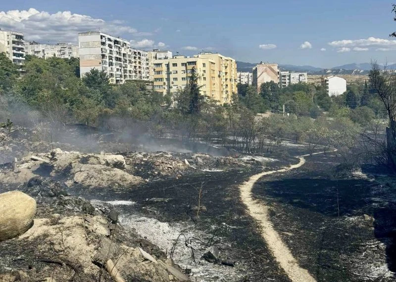 Бързо овладяха пожар, възникнал на Е-79 край Сандански