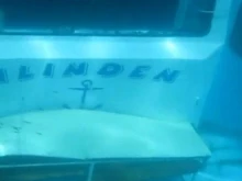 16 години от трагедията с кораба "Илинден", когато се удавиха 15 български туристи