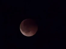 ����� �������� ����� �� "��������� ����"