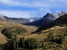 ������� "����������" ����� � ���������!