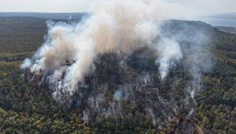 Вижте огромните размери на пожара над "Аспарухово" от птичи поглед