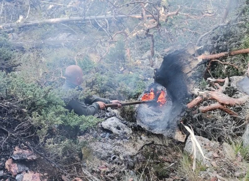 Пожарникари, военнослужещи, горски и доброволци продължават битката с пожара в Рила