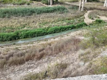 Потресаващи кадри от язовир Цонево разтревожиха всички: Къде е водата?
