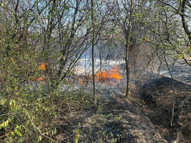 Пожарникарите се справиха с огъня във Велико Търново, вижте снимки