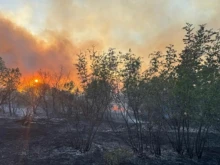 Локализираха пожара в Сакар