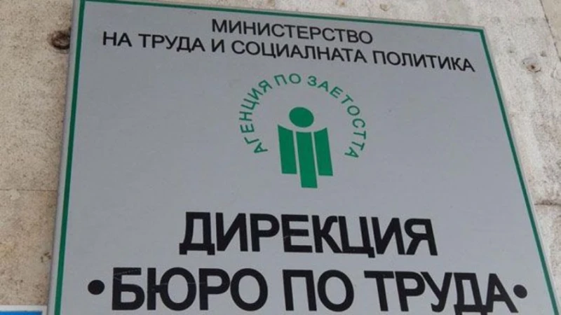 Обяви за работа: 3500 лева заплата за готвач, учител-2000 лв., охрана - 1800 лв., касиер - 1500 лв.