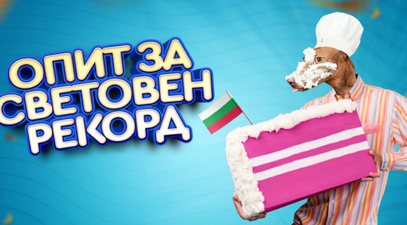 В София: Опит за български световен рекорд на Гинес за най-голямата кучешка торта в света