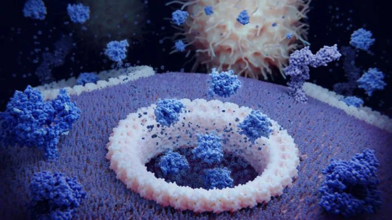 Намериха лечение за рак?