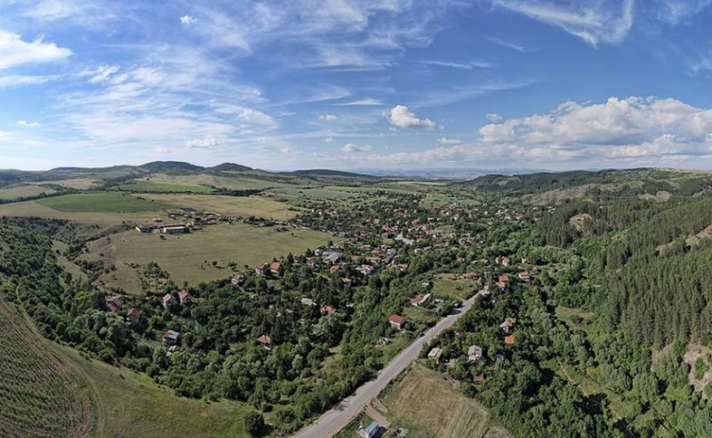 �������� �������� � ���� �� 29 �� �� �����