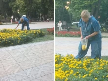 Вандалска проява или невинно деяние в пловдивски парк? Вие преценете