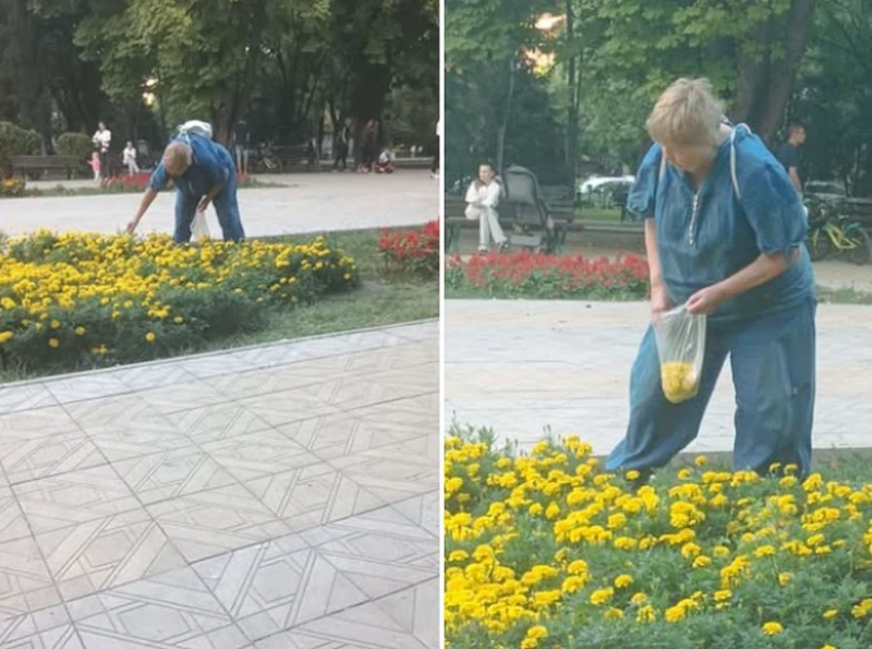 Вандалска проява или невинно деяние в пловдивски парк?