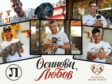 Футболистите на Локо с апел: Осинови домашен любимец!