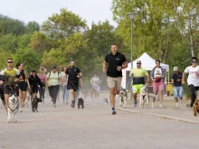 Близо 400 четириноги и техните стопани бягаха рамо до рамо в София