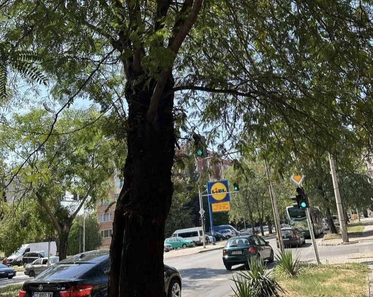 Промяната в графика на обществения транспорт в Стара Загора е валидна и днес