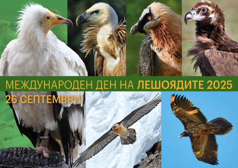 Русенският музей ще отбележи Международния ден на лешоядите