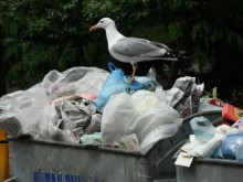 Такса смет на вилата според изхарчения ток 