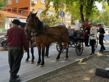 Пловдив отбеляза 117 години от обявяването на Независимостта на България