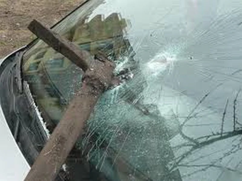 ������ �� 33-������� ���� ������� ������ �, ��������� �� ��������