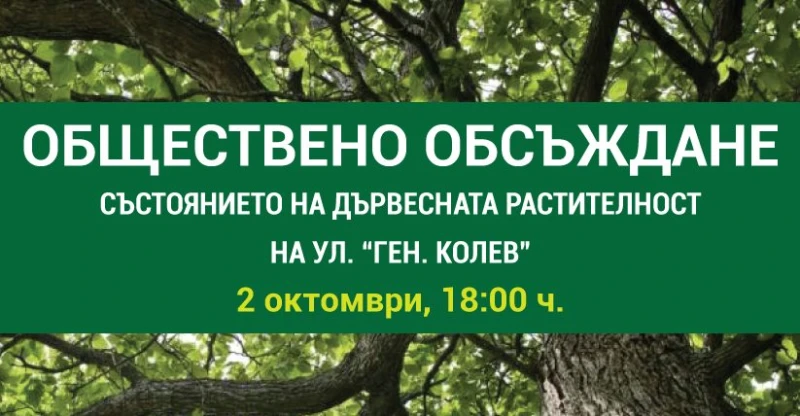 Кметът на "Западен" обсъжда с граждани състоянието на дърветата