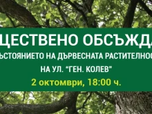 Кметът на "Западен" обсъжда с граждани състоянието на дърветата