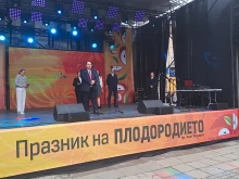 Завършили са допълнителните проверки на измръзналите площи с череши в Кюстендилско