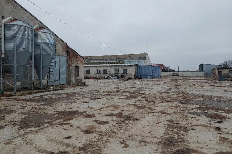 Известна ферма за патици отново е обявена за разпродажба, искат 300 000 по-малко