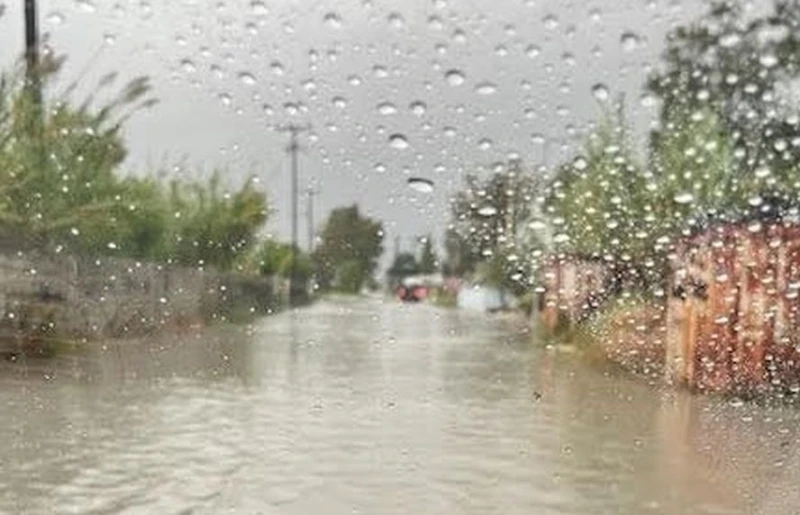 Вижте какво се случва в Гърция!