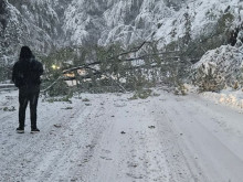 Meteo Bulgaria: "��������" � ��������