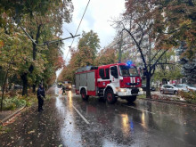Дърво падна на улица в Русе, затруднено е движението