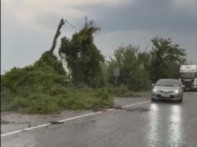 Пътната обстановка в Русенско е влошена, има сигнали за десетки паднали дървета