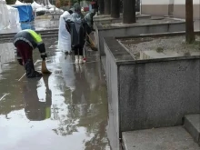 Заради поройния дъжд: 4 паднали дървета и авария на електрическо табло в старозагорски квартал 