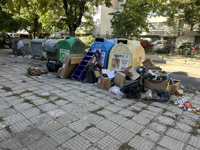 Жители от центъра на Пловдив в безпомощна борба с отпадъците