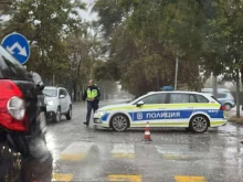 Сигнали за паднали дървета и клони в Пловдив