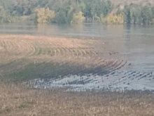 Река Янтра прелива при село Долна Студена