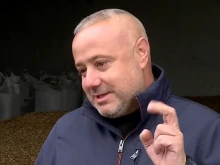 Производител от Пловдивско: Вносните фъстъци от Китай и Аржентина масово се представят за садовски