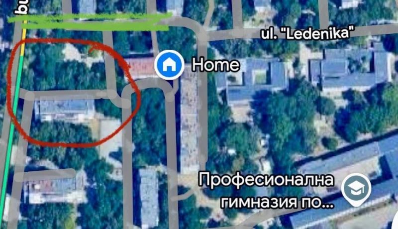 Граждани притеснени заради сеч на дървета в Пловдив