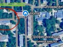 Граждани притеснени заради сеч на дървета в Пловдив