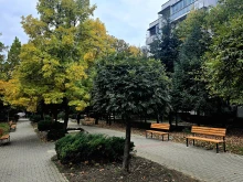 Още нови пейки монтират в парковете във Велико Търново